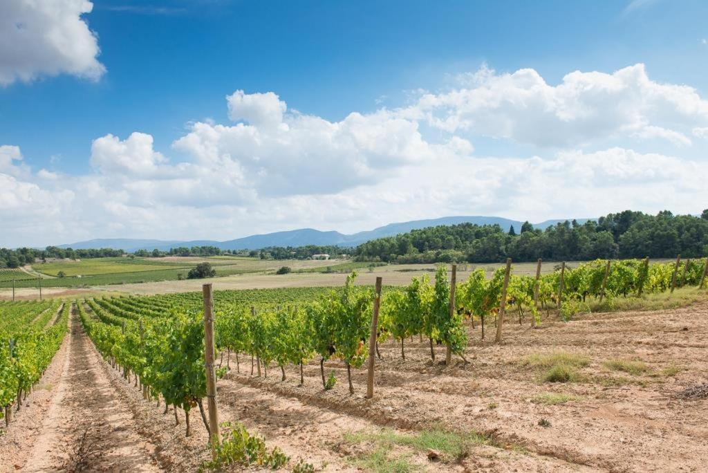 Chateau Canet Villa Rustiques Exterior photo